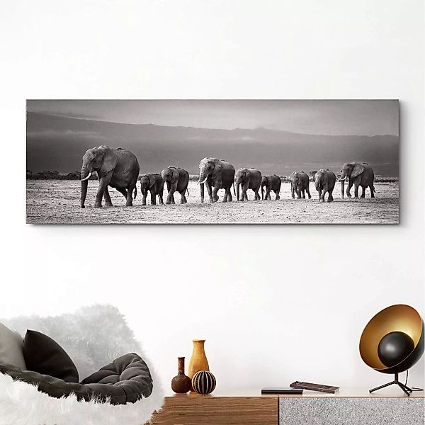 Reinders Holzbild "Deco Panel 52x156 Line of Elephants" günstig online kaufen