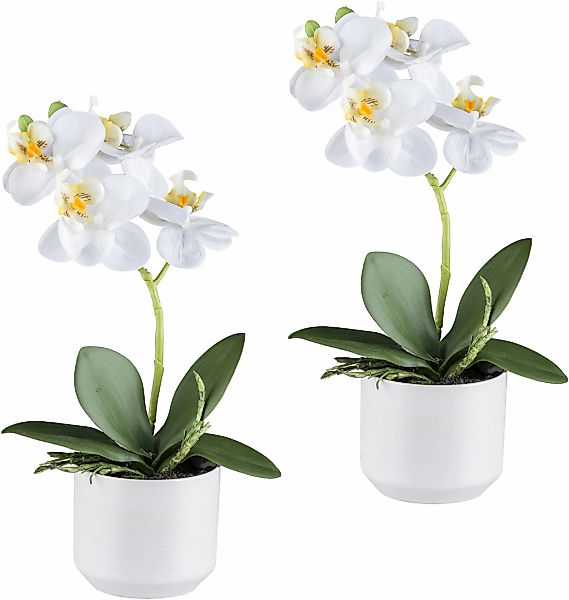 Creativ green Kunstorchidee "Orchidee Phalaenopsis", mit real-touch-Blüten günstig online kaufen