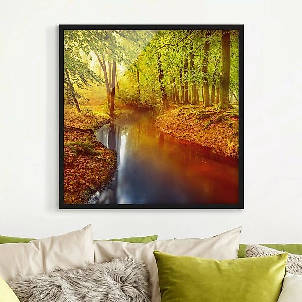 Bild mit Rahmen Natur & Landschaft - Quadrat Herbstwald günstig online kaufen