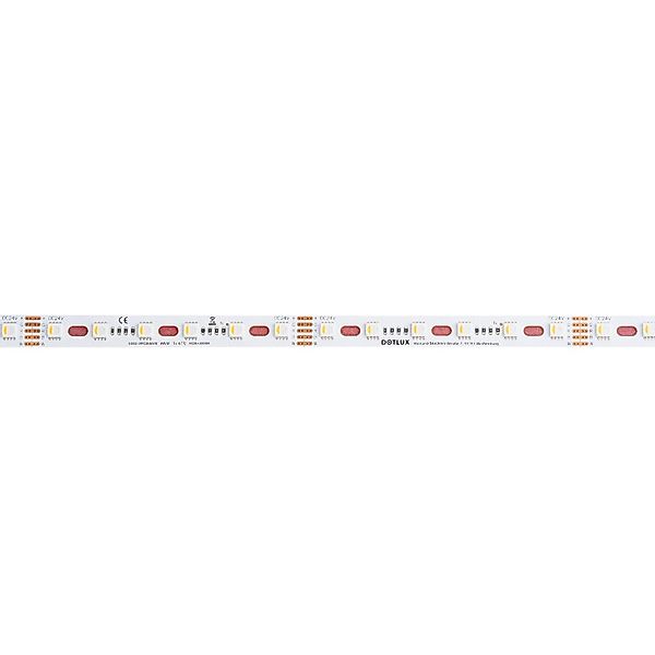 DOTLUX RGBW CURVE LED-Streifen 96W 12mm IP20 5m-Rolle inkl. 50cm Anschlussk günstig online kaufen