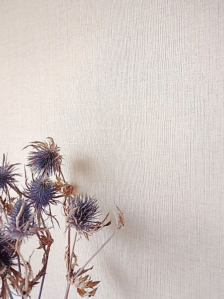 Newroom Vliestapete, Beige Tapete Uni Einfarbig günstig online kaufen