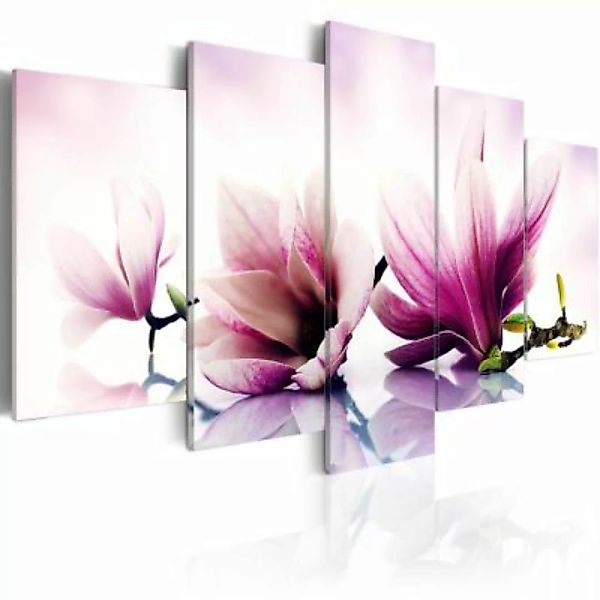 artgeist Wandbild Rosa Blüten: Magnolien mehrfarbig Gr. 200 x 100 günstig online kaufen