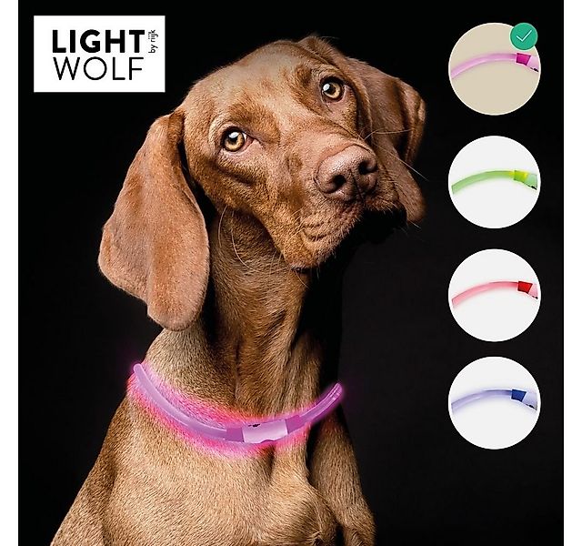 riijk Leuchthalsband LED Hundehalsband, Kunststoff, individuell einfach mit günstig online kaufen