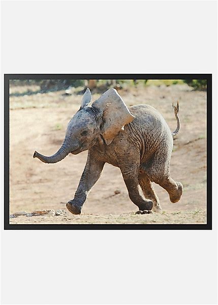 Fußmatte mit süßem Elefant günstig online kaufen