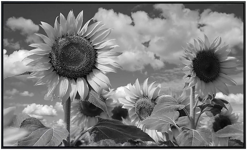 Papermoon Infrarotheizung »Sonnenblume Schwarz & Weiß« günstig online kaufen