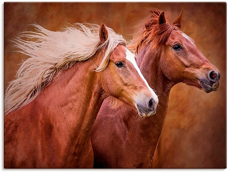 Artland Wandbild »Reinrassige Pferde I«, Haustiere, (1 St.), als Leinwandbi günstig online kaufen