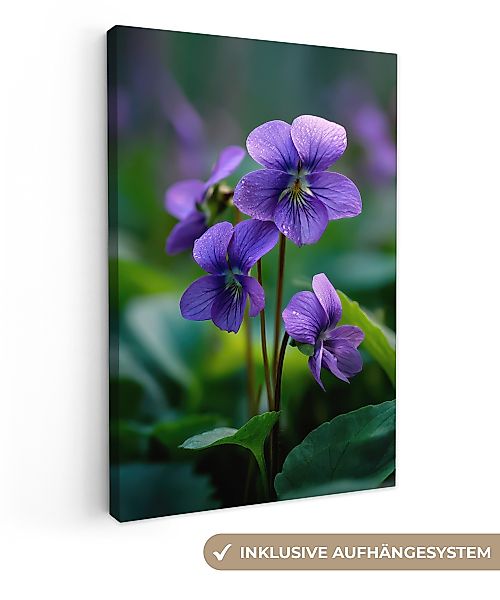 OneMillionCanvasses® Leinwandbild Veilchen - Lila - günstig online kaufen