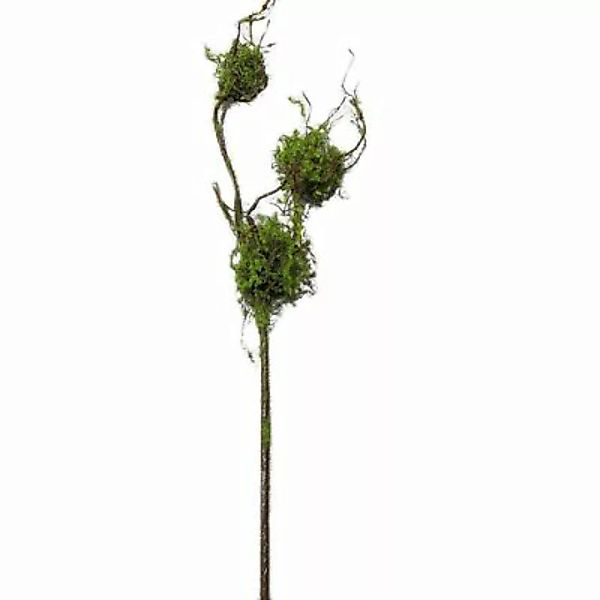 HTI-Living Zweig mit Vogelnestern Kunstpflanze Flora grün günstig online kaufen