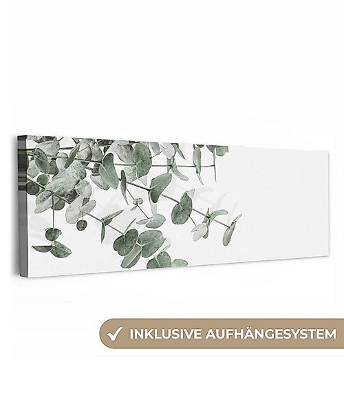 OneMillionCanvasses® Leinwandbild Panorama Eukalyptus - Blätter - Natur - G günstig online kaufen