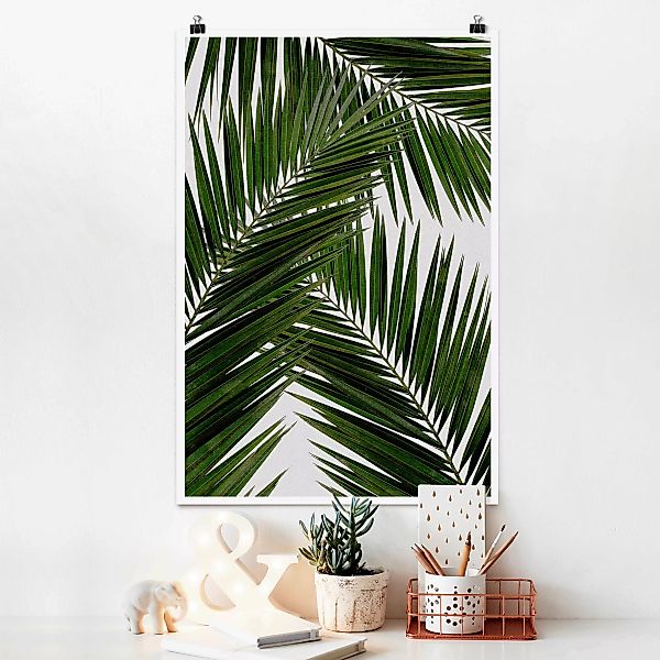 Poster Blick durch grüne Palmenblätter günstig online kaufen