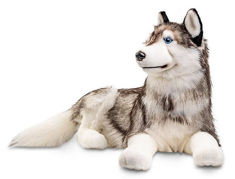 Uni-Toys Kuscheltier Husky, liegend - 100 cm (Länge) - Plüsch-Hund - Plüsch günstig online kaufen