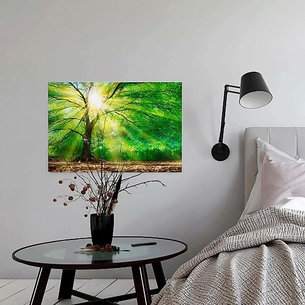 A.S. Création Leinwandbild "Forest Light", Kunst-Wald-Kinder, (1 St.), Sonn günstig online kaufen