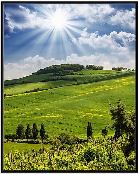 Wallario Poster, Strahlender Sonnenschein, in verschiedenen günstig online kaufen