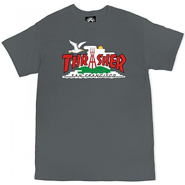 Thrasher  T-Shirts & Poloshirts T-shirt the city günstig online kaufen
