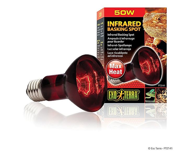 Exo Terra Terrarienleuchte Infrared Basking Spot - Infrarot-Spotlampe günstig online kaufen
