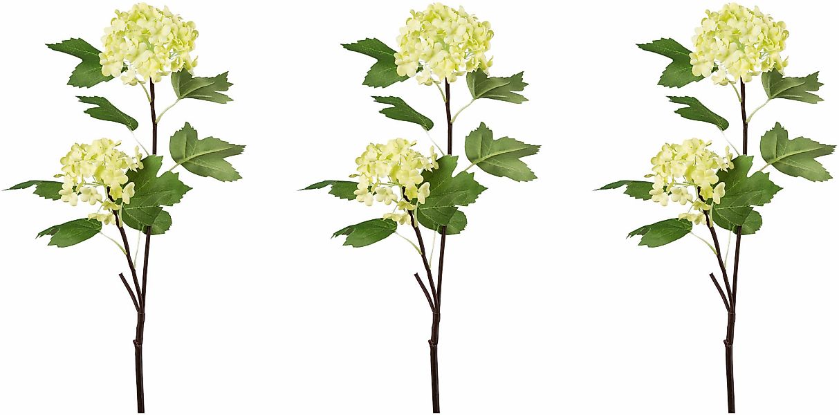 Creativ green Kunstblume "Schneeballzweig" günstig online kaufen