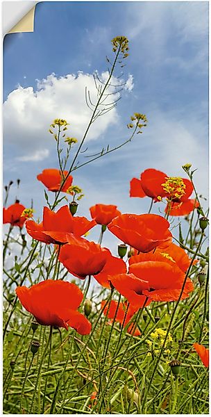 Artland Wandbild "Mohnblumen im Panorama", Blumenbilder, (1 St.), als Alubi günstig online kaufen