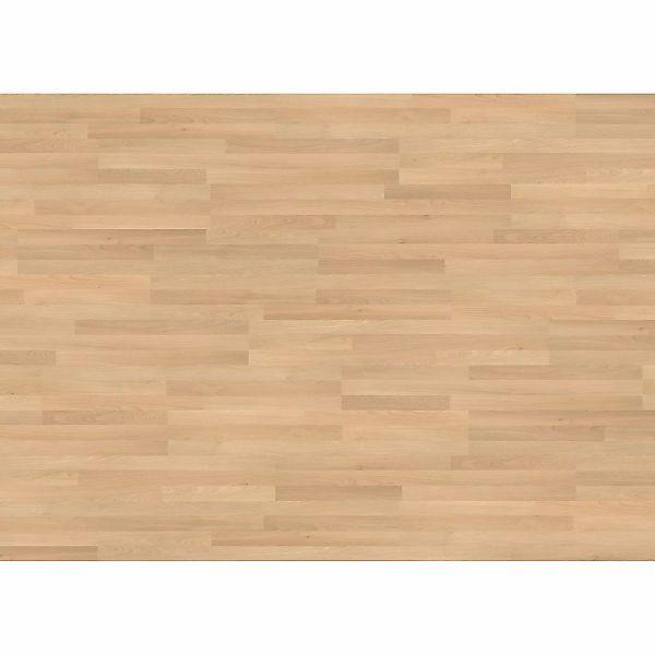 Living by Haro Laminat 7 mm Buche günstig online kaufen