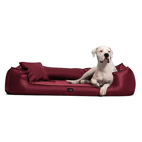 tierlando® Tierbett Orthopädisches Hundebett GOOFY Kunstleder, günstig online kaufen