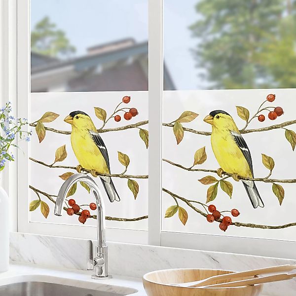 Fensterfolie Vögel und Beeren - Goldzeisig günstig online kaufen
