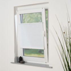 HOMBERA Plissee "Vlies", Lichtschutz, ohne Bohren günstig online kaufen