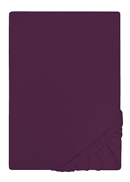 Castell - Markenbettwäsche Spannbettlaken Spannbetttuch Jersey-Stretch, günstig online kaufen