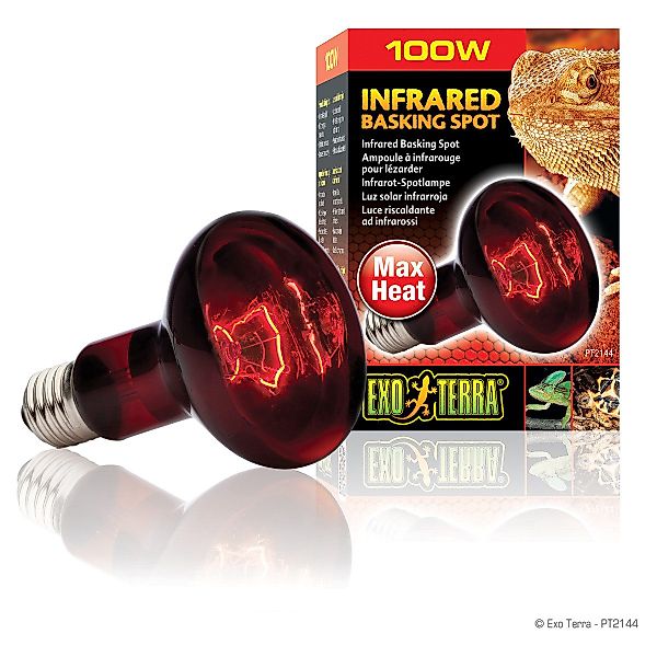 Exo Terra Terrarienleuchte Infrared Basking Spot günstig online kaufen