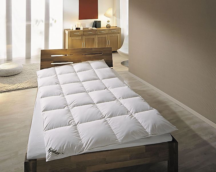 fjödur Federbettdecke "Fabiennes Basic, Bettdecken für Winter, Decke" warm günstig online kaufen