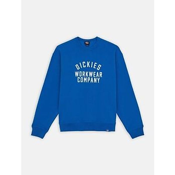 Dickies  Sweatshirt GRAPHIC HOODIE 3 - DK0A85ST-J531 TURKISH SEA günstig online kaufen