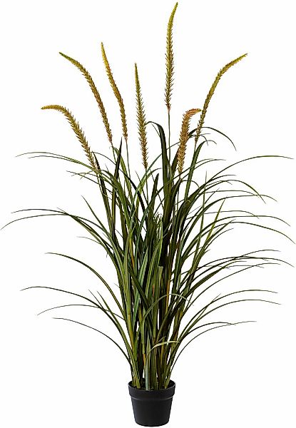Kunstgras Grasbusch Miscanthus im Topf Gras, günstig online kaufen