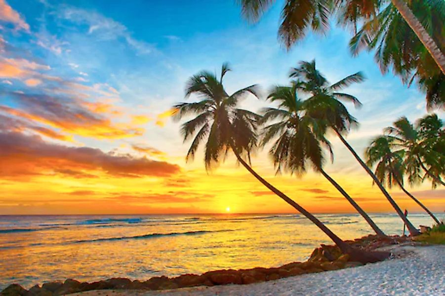 Papermoon Fototapete »Barbados Palm Beach« günstig online kaufen