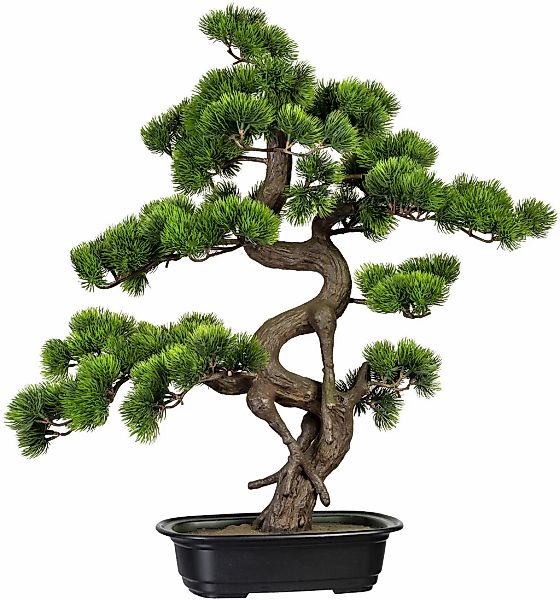 Creativ green Kunstbonsai "Bonsai Kiefer" günstig online kaufen