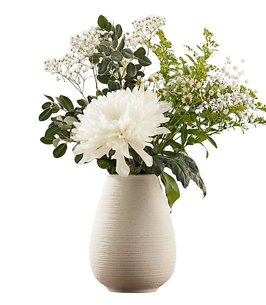 Dekoleidenschaft Dekovase "Ecru" Vase aus Porzellan, günstig online kaufen