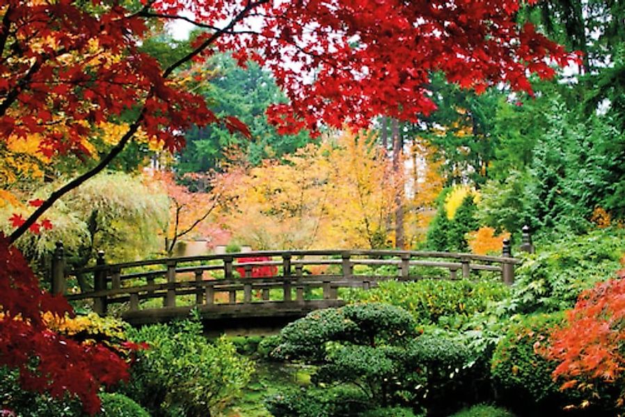 Papermoon Fototapete »Bridge in Japanese Garden« günstig online kaufen
