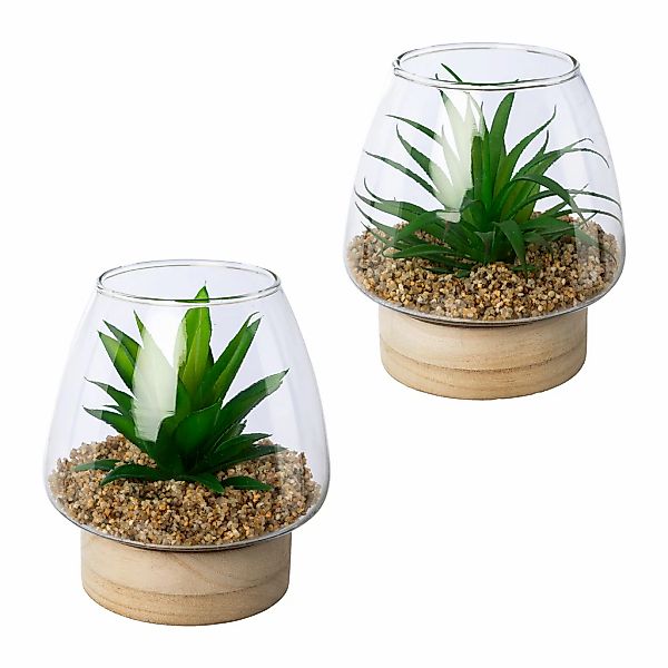 Creativ green Kunstpflanze "Sukkulenten im Glasgefäß" günstig online kaufen