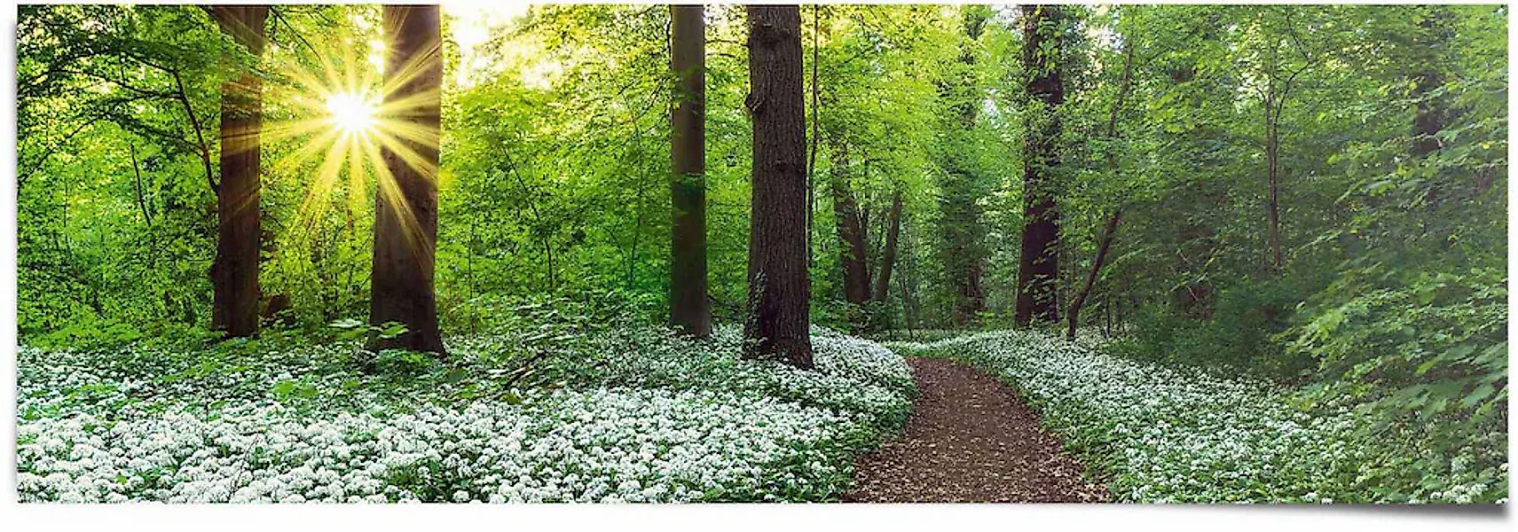 Reinders Poster "Waldlichtung Frühling", (1 St.) günstig online kaufen
