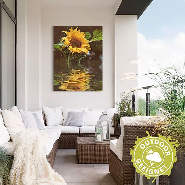 Artland Wandbild "Sonnenblume", Blumen, (1 St.), als Alubild, Outdoorbild, günstig online kaufen