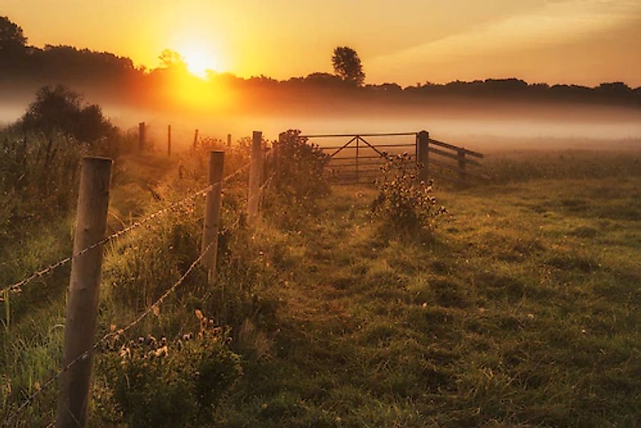 Papermoon Fototapete »LANDSCHAFT-NATUR SONNENUNTERGANG BÄUME WALD NEBEL BAU günstig online kaufen