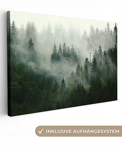 OneMillionCanvasses® Leinwandbild Wald - Nebel - Bäume - Natur, Fotodruck ( günstig online kaufen