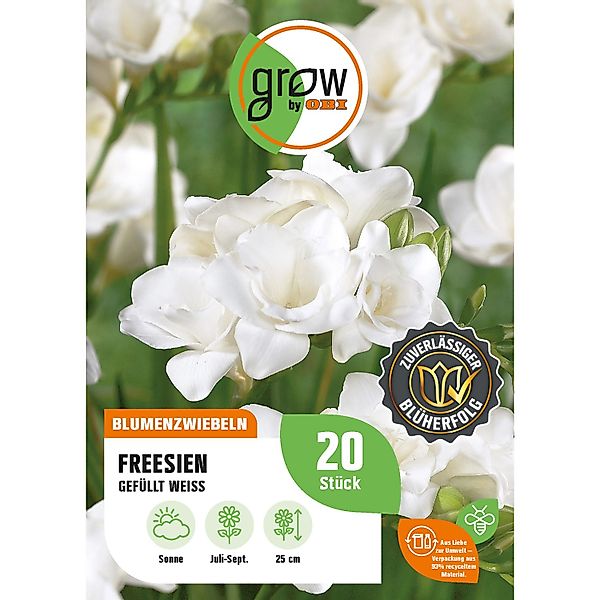 GROW by OBI Freesie Gefüllt Weiss Höhe ca. 25 cm Freesia double günstig online kaufen