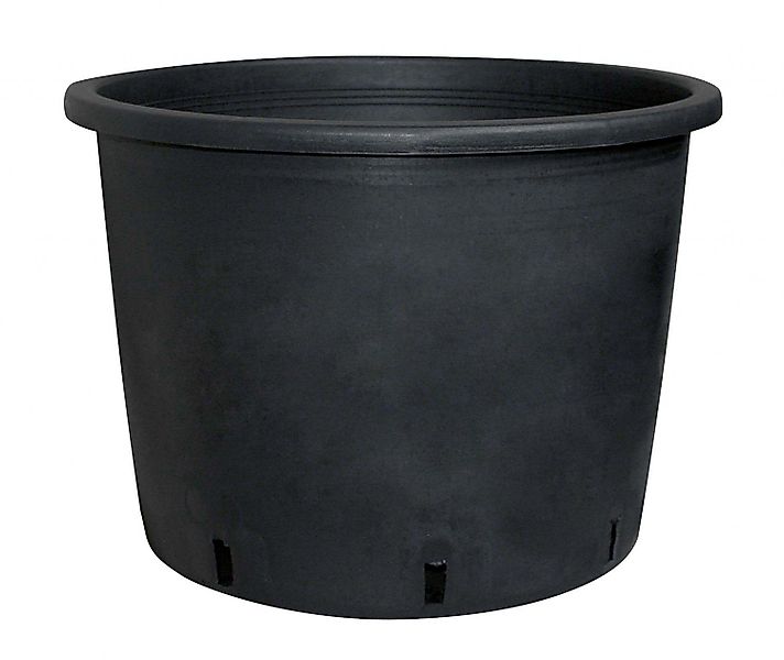 Geli Blumentopf Baumcontainertopf aus Kunststoff Schwarz günstig online kaufen