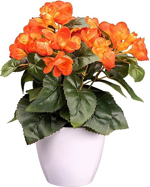 Kunstblume Begonie Blühpflanze, Creativ green, Höhe 28 cm, mit farbenfrohen günstig online kaufen