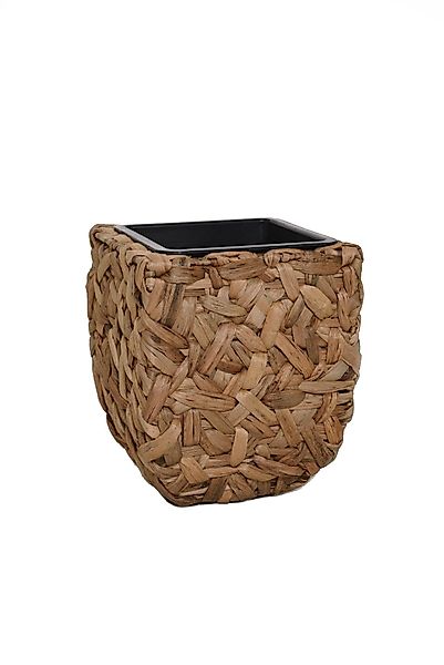 VIVANNO Pflanzkübel Wasserhyazinthe WILD Würfel - günstig online kaufen