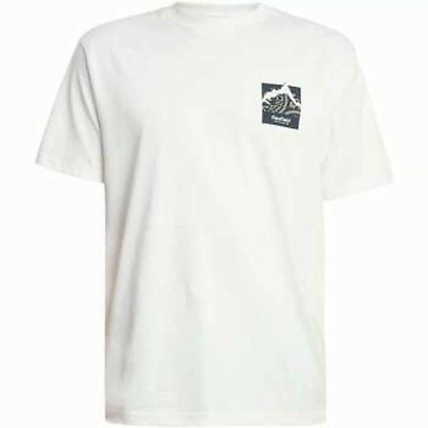 Penfield  T-Shirt T-Shirt mit Mountain-Back-Grafik günstig online kaufen