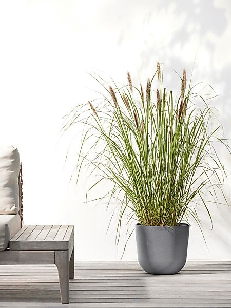 ECOPOTS Blumentopf "Oslo 25 Grau", für innen und außen: frostsicher, bruchs günstig online kaufen