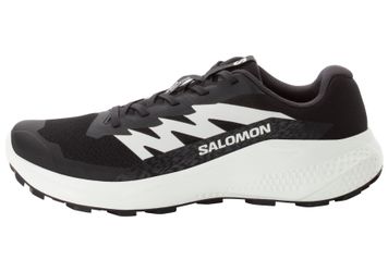 Salomon ALPHAGLIDE Trailrunningschuh wasserdicht günstig online kaufen