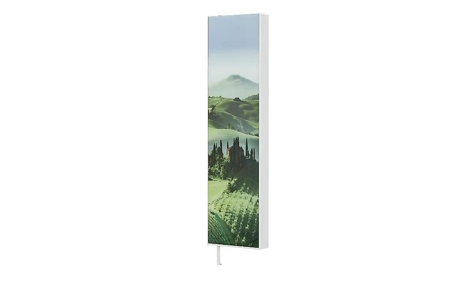 Mehrzweckschrank  Pictura ¦ mehrfarbig ¦ Maße (cm): B: 48 H: 186 T: 20.0 Ga günstig online kaufen