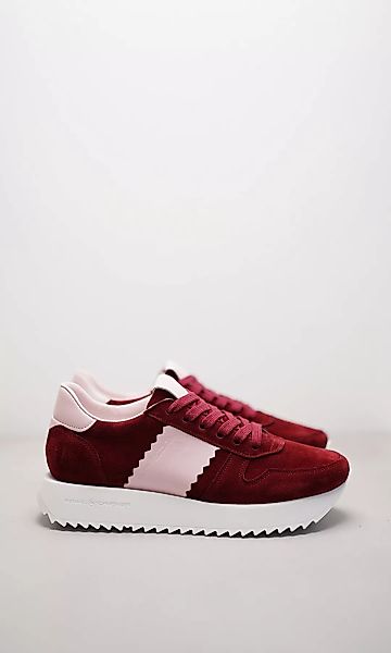 FLASH günstig online kaufen