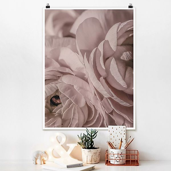 Poster Errötete Blüte günstig online kaufen