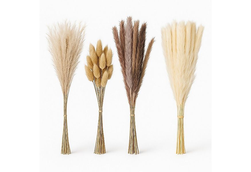 Trockenblume Getrocknetes Pampasgras im 144er Set Pampasgras, relaxdays, Hö günstig online kaufen